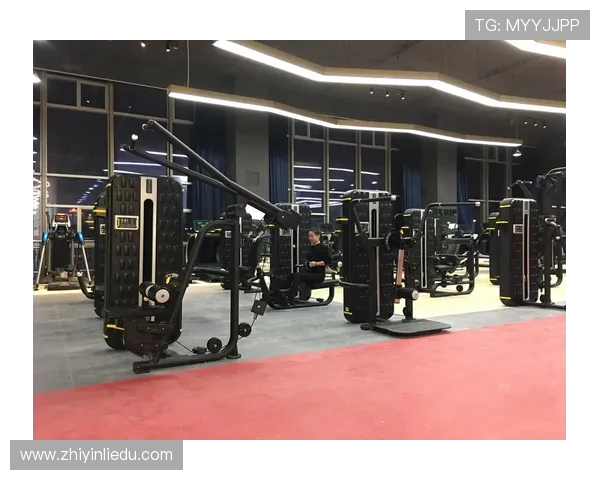 家用与商用健身器材的对比分析及采购策略推荐