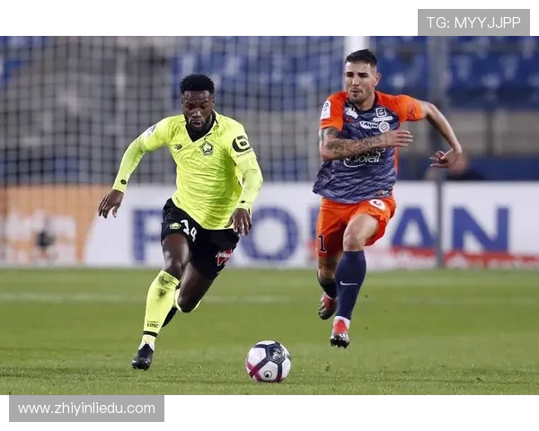 法甲球队赛季表现评估报告：进攻、防守与关键战评比