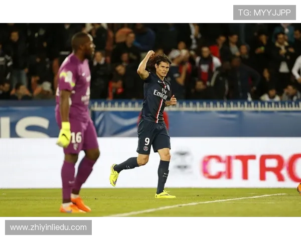 蒙彼利埃球队在法甲联赛的历史排名与表现