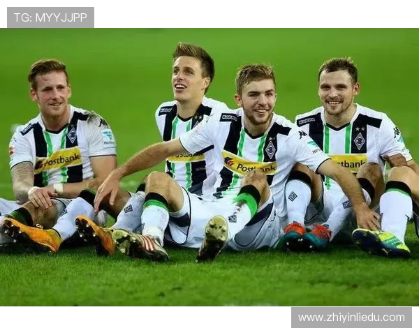 2025德甲联赛各球队主场地图详解